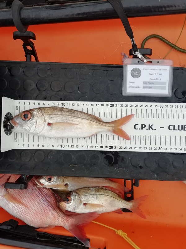 Fish Measure Picture